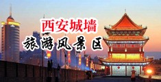 、美女日逼网站中国陕西-西安城墙旅游风景区